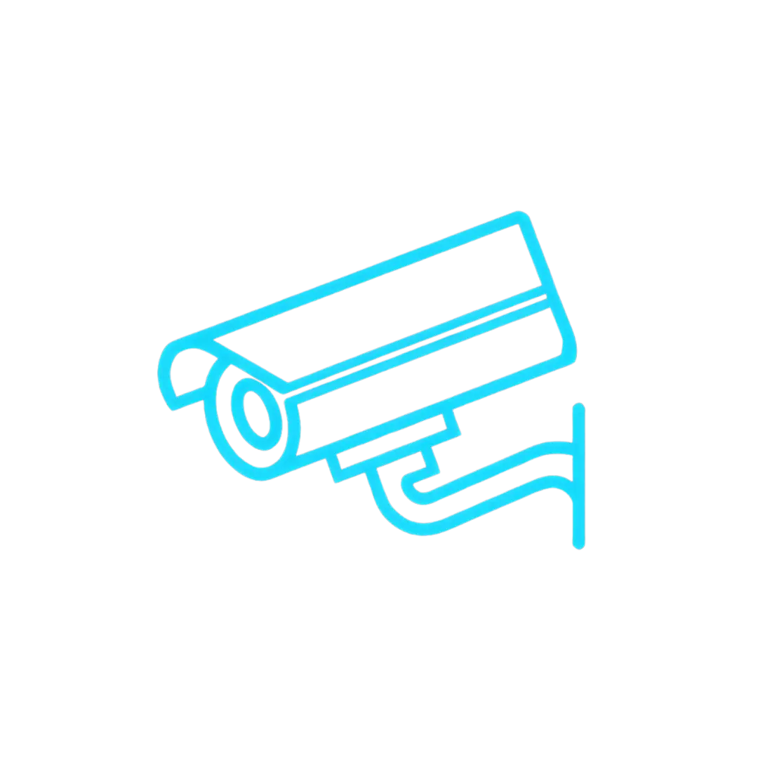 Camera & alarm system assessment